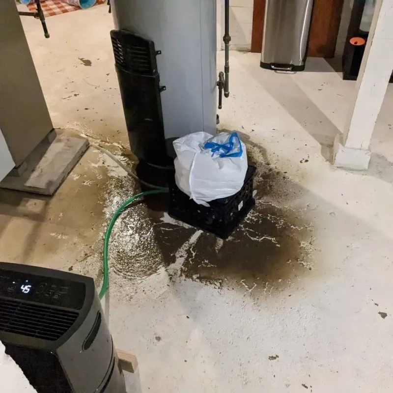 Sewage Backup Cleanup Service in Lakemont, PA
